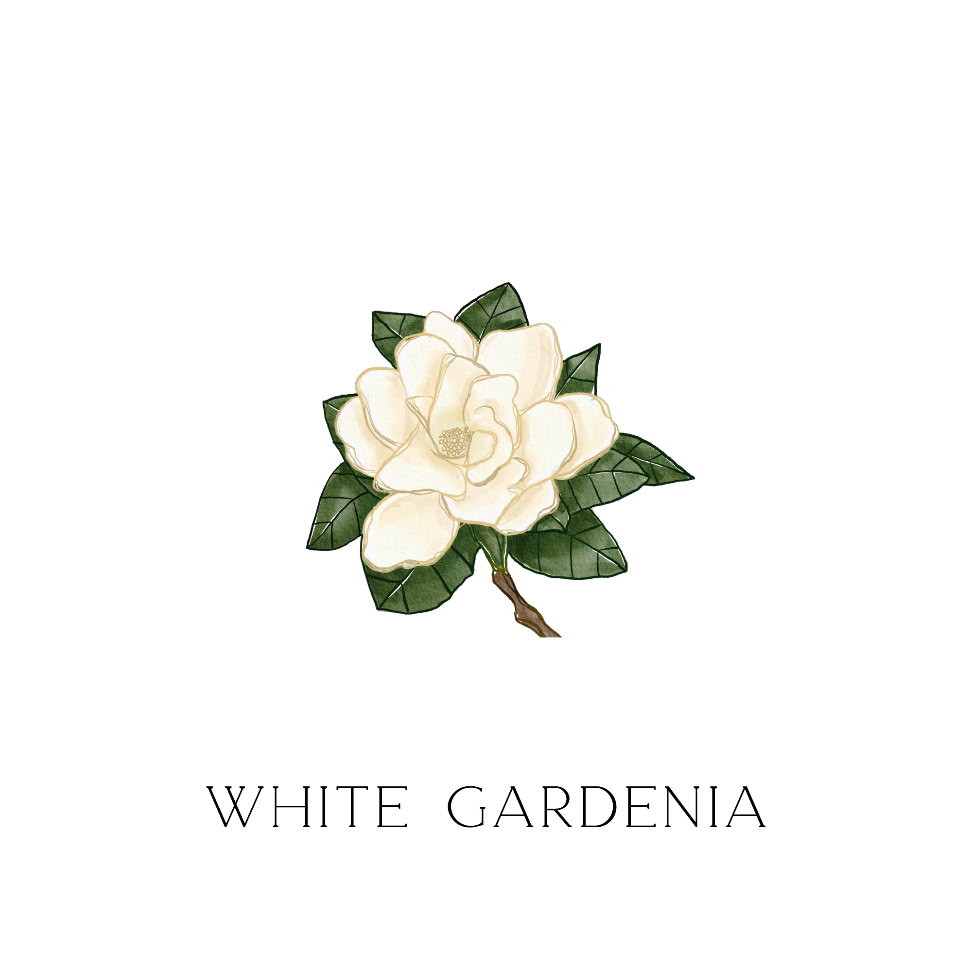 カーフレッシュナー "WHITE GARDENIA"