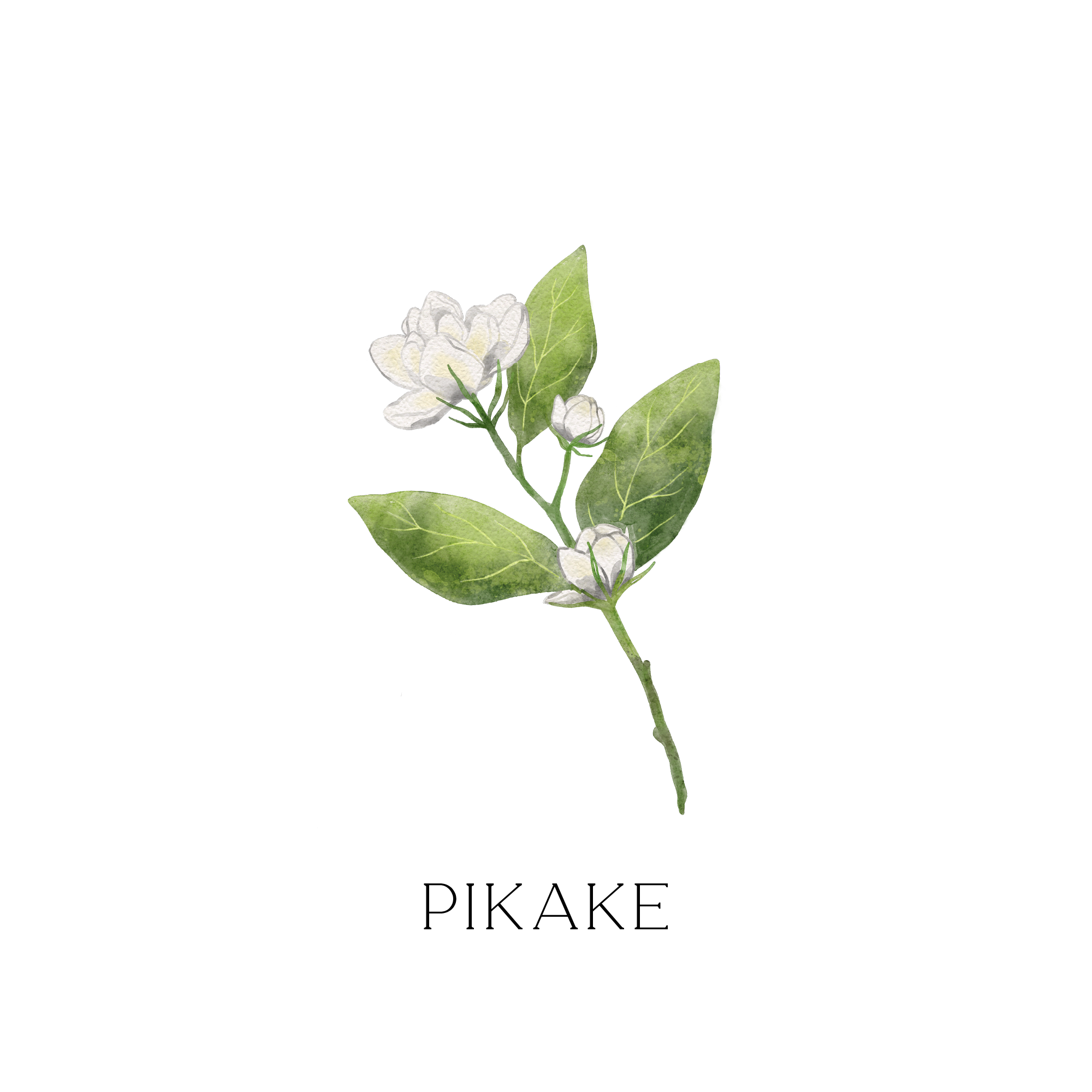 カーフレッシュナー "PIKAKE"