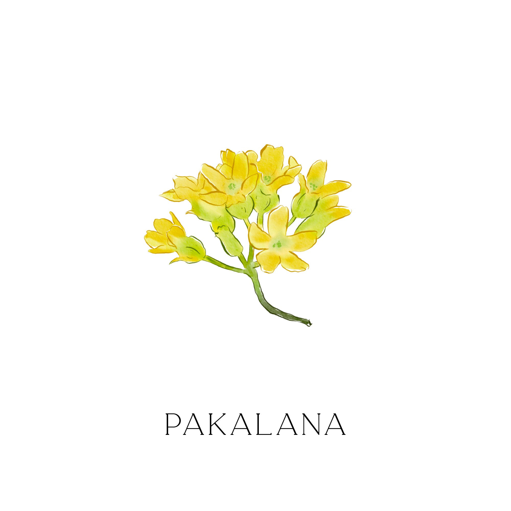 カーフレッシュナー "PAKALANA"