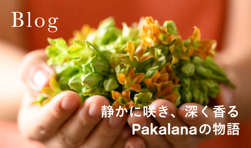 静かに咲き、深く香る、Pakalanaの物語