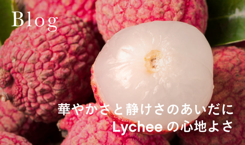 華やかさと静けさのあいだに Lycheeの心地よさ