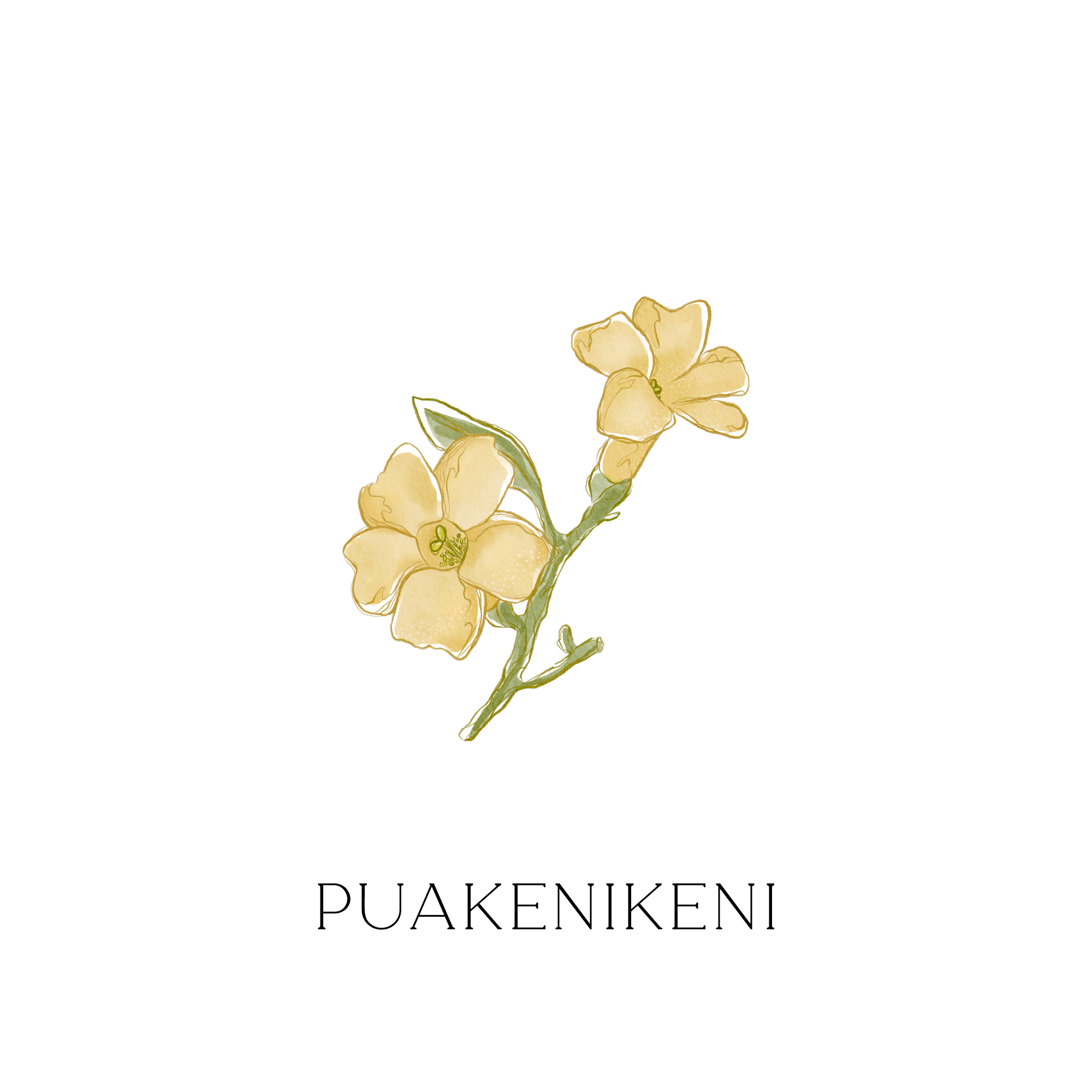 パフュームローラー "PUAKENIKENI"