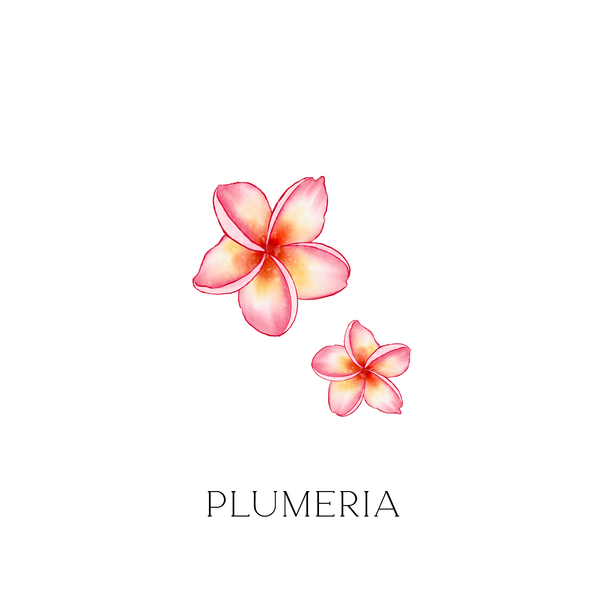 キャンドル "PLUMERIA"