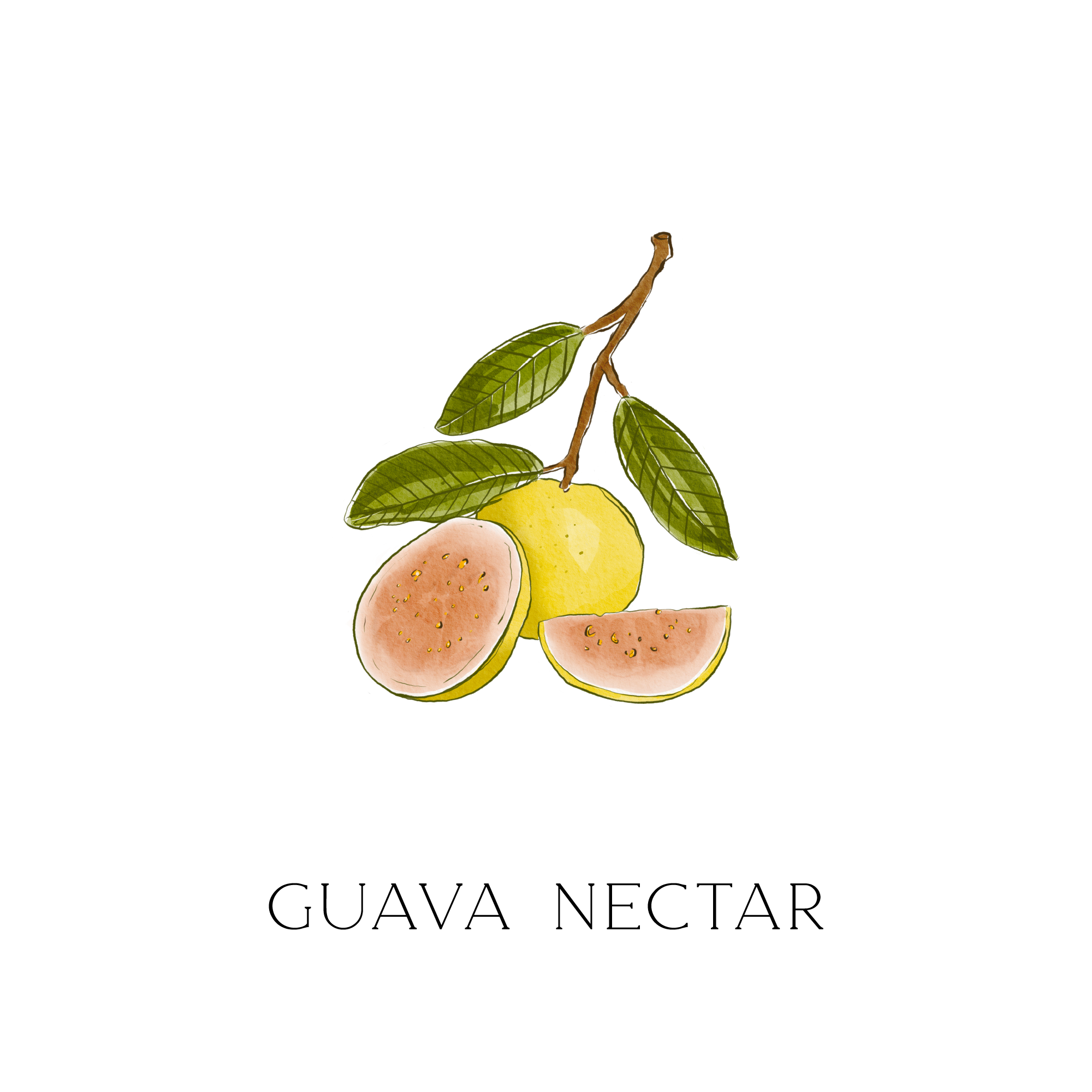 ルームスプレー "GUAVA NECTAR"