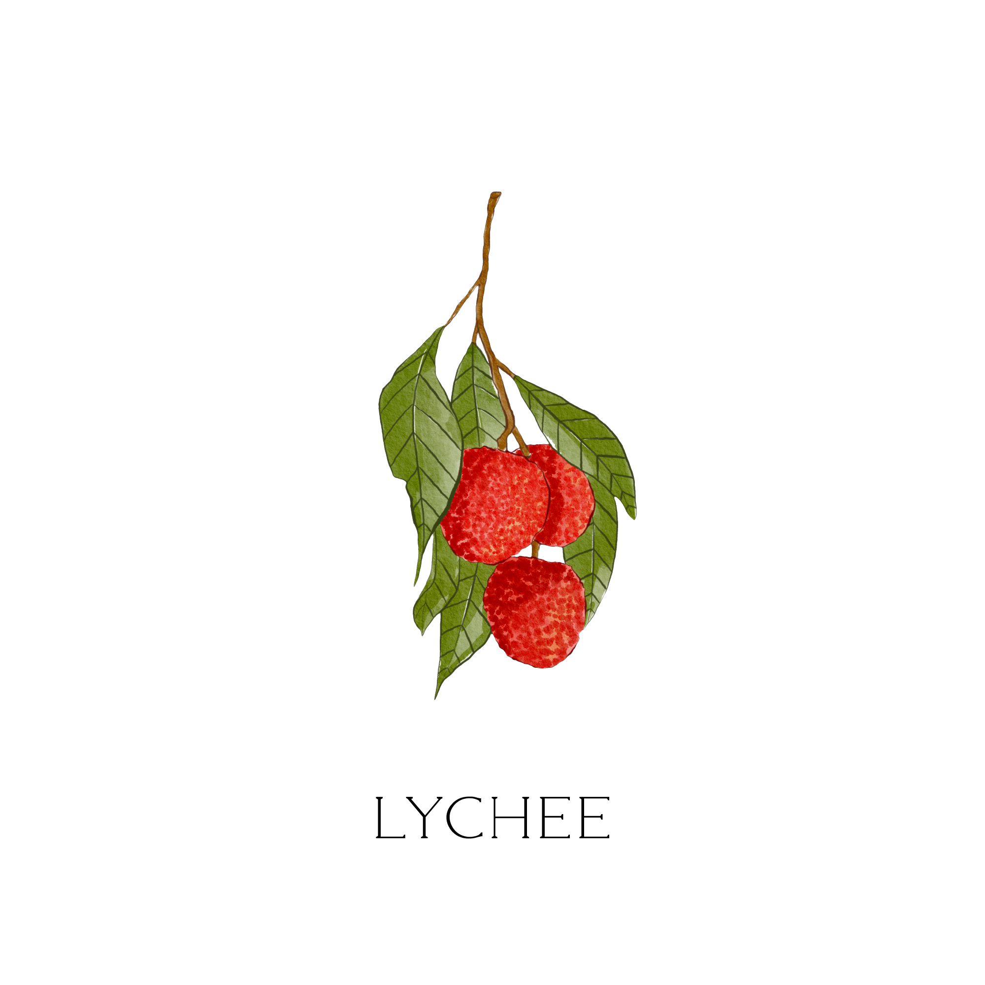 パフュームローラー "LYCHEE"