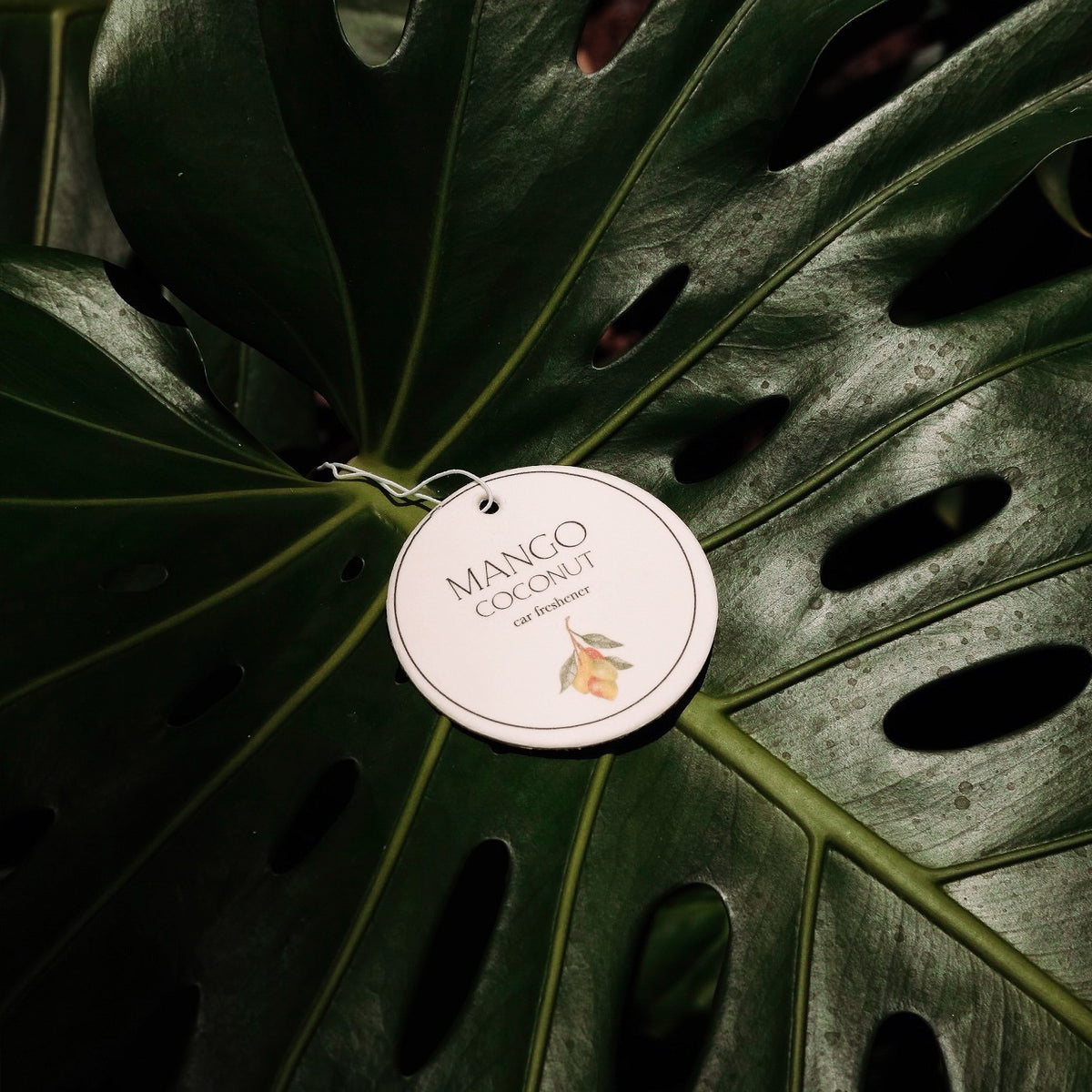 カーフレッシュナー "MANGO COCONUT"
